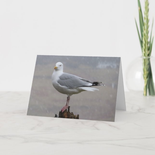 Seagull-Grüße Textkarte hinzufügen Karte (Vorderseite)