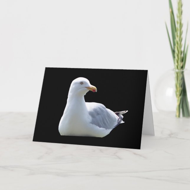 Seagull-Grüße Textkarte hinzufügen Karte (Vorderseite)