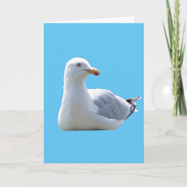 Seagull-Grüße Textkarte hinzufügen Karte (Vorderseite)