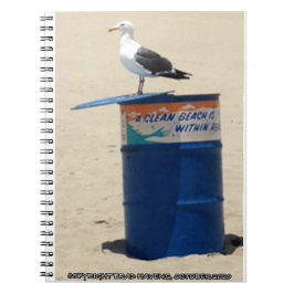 Seagull Guardian am Strand von Santa Monica Notizblock