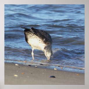 Seagull im Ozeanposter Poster