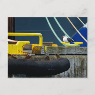 Seagull in abstrakter Umgebung Postkarte