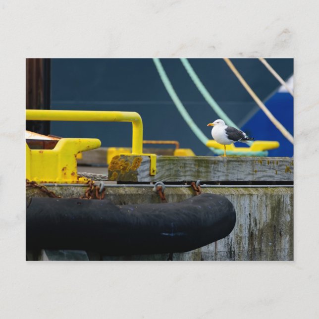 Seagull in abstrakter Umgebung Postkarte (Vorderseite)