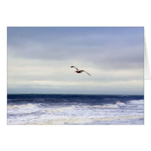 Seagull in Lila