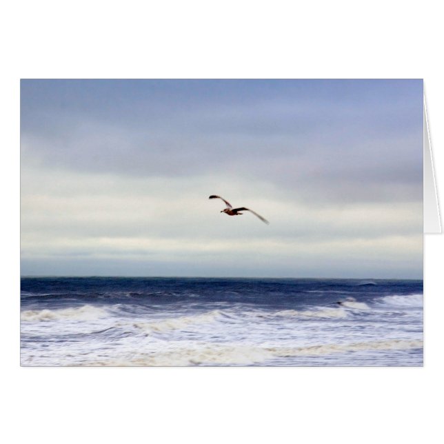 Seagull in Lila (Vorderseite (Horizontal))