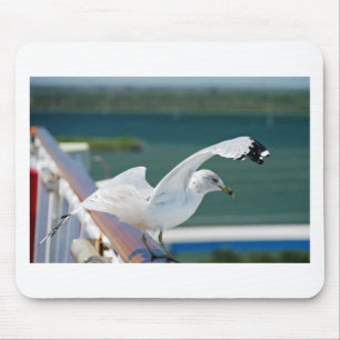 Seagull.JPG Mousepad