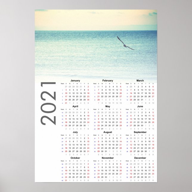 Seagull Kalender 2021 Poster - Sonntag erster (Vorne)