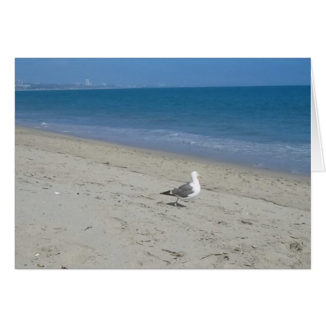 Seagull-Karte (Vorderseite (Horizontal))