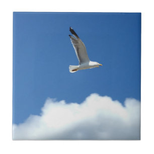 Seagull Keramik Tile Fliese
