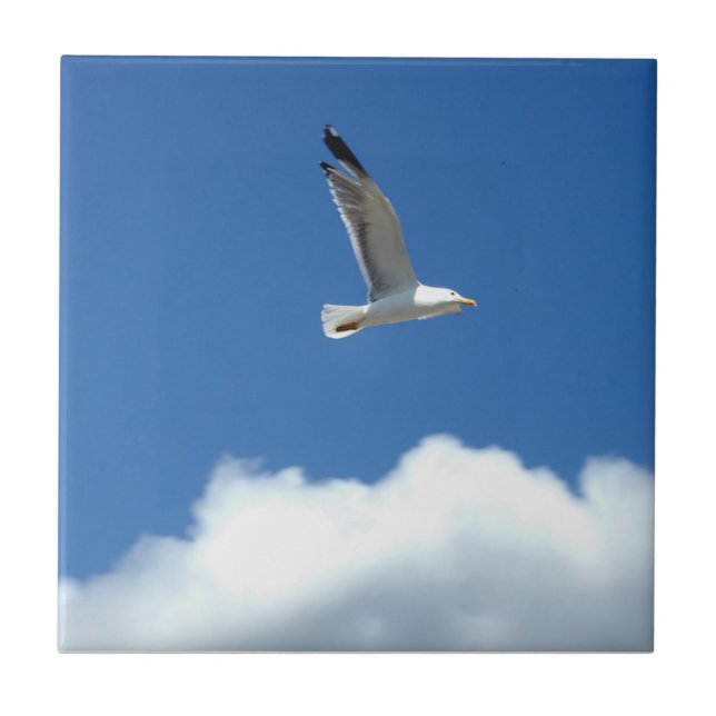Seagull Keramik Tile Fliese (Vorderseite)