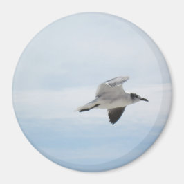 Seagull Magnet