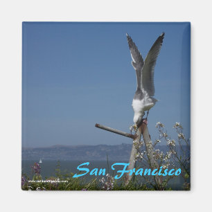 Seagull Magnet