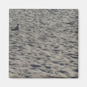Seagull-Magnete Magnet
