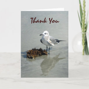 Seagull mit Seetang Custom Dankeskarte