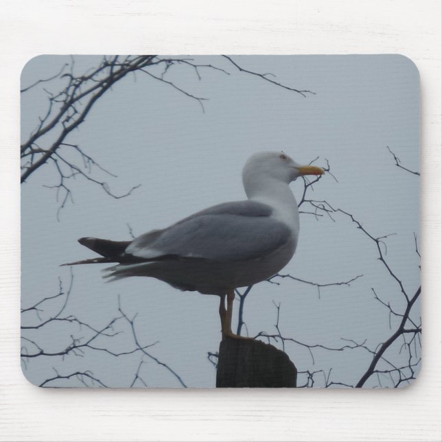 Seagull Mousepad (Vorne)