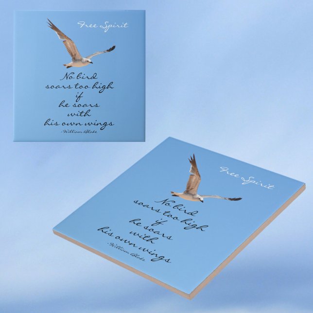 Seagull No Bird klettert zu blau dekorativ Fliese (Von Creator hochgeladen)