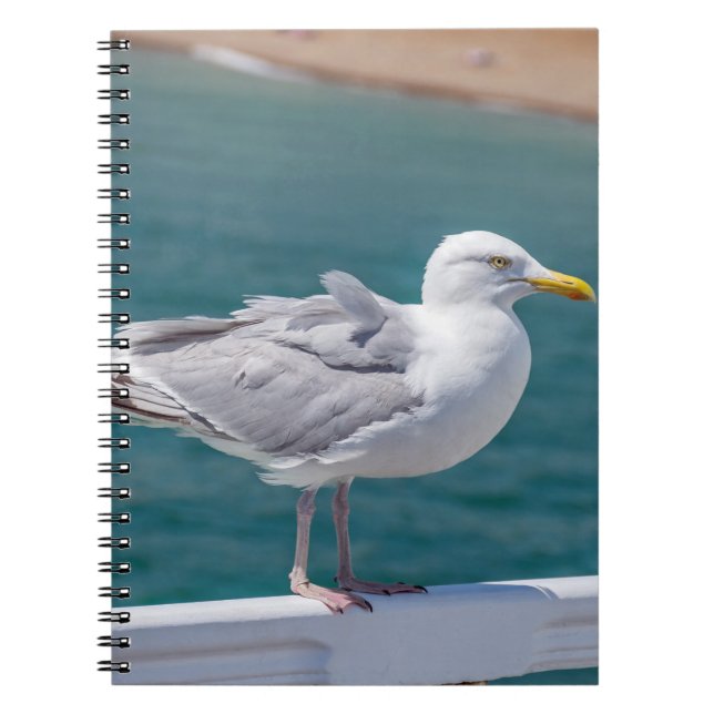 Seagull-Notebook Notizblock (Vorderseite)