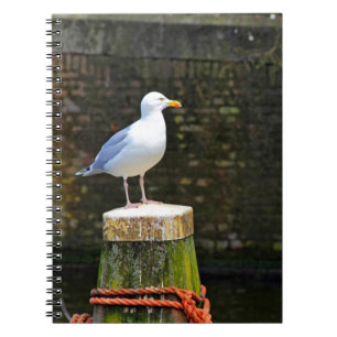 Seagull Notizblock