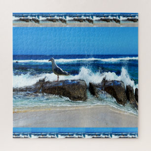 Seagull on Beach Rocks