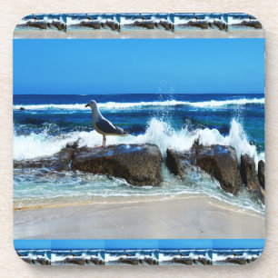 Seagull on Beach Rocks Getränkeuntersetzer