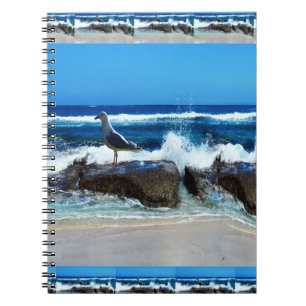 Seagull on Beach Rocks Notizblock