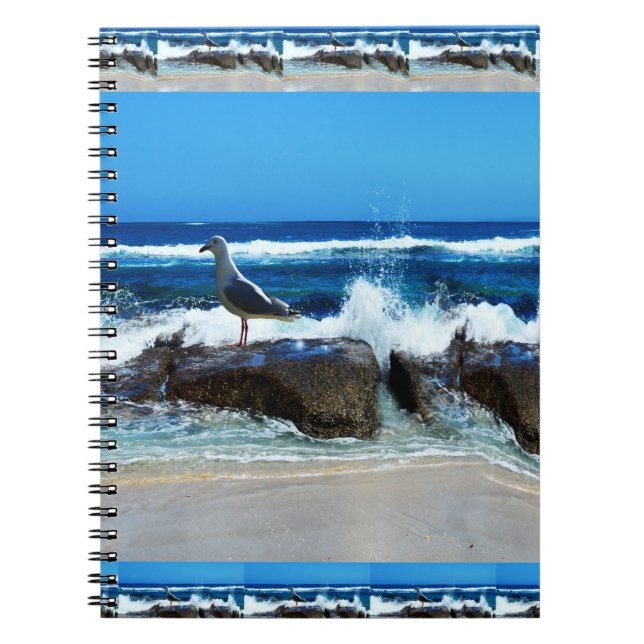 Seagull on Beach Rocks Notizblock (Vorderseite)