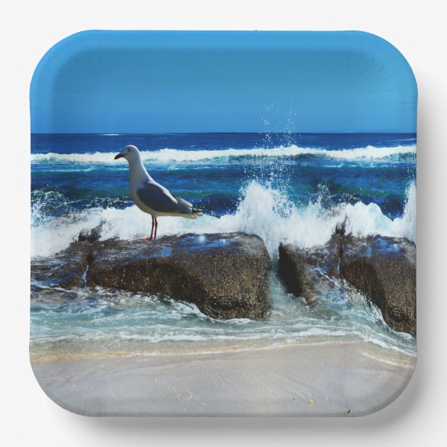Seagull on Beach Rocks Pappteller (Vorderseite)