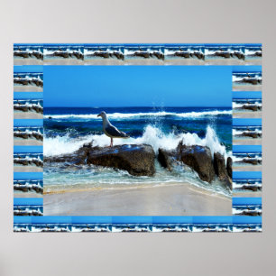 Seagull on Beach Rocks Poster