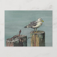 SEAGULL on PILING by SHARON SHARPE
