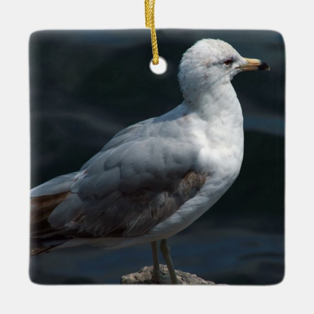 Seagull-Ornament Keramikornament (Vorderseite)