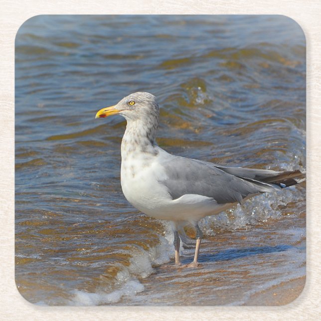 Seagull Party Untersetzer (Vorderseite)
