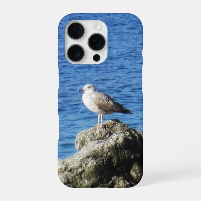 Seagull Phone Case iPhone 16 Pro Hülle (Rückseite)