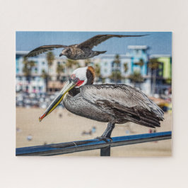 Seagull Photobombs Foto Portrait,