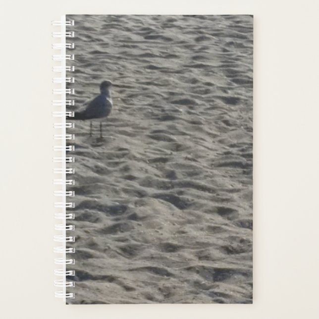 Seagull Planner Planer (Vorderseite)