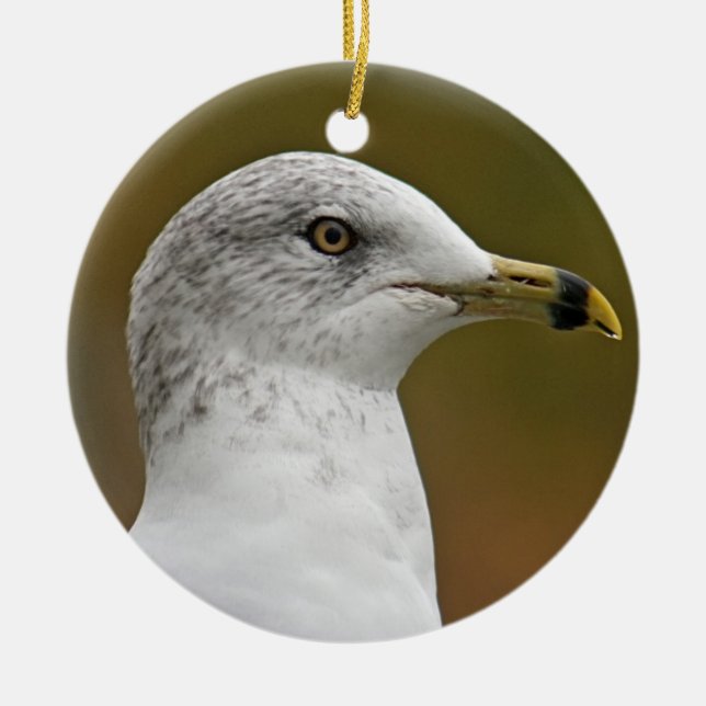 Seagull Porträtfotografie mit Bibelverse Keramikornament (Vorne)