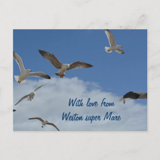 Seagull Postcard - aus Weston Super Mare Postkarte