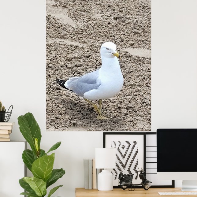 Seagull Poster (Heimbüro)