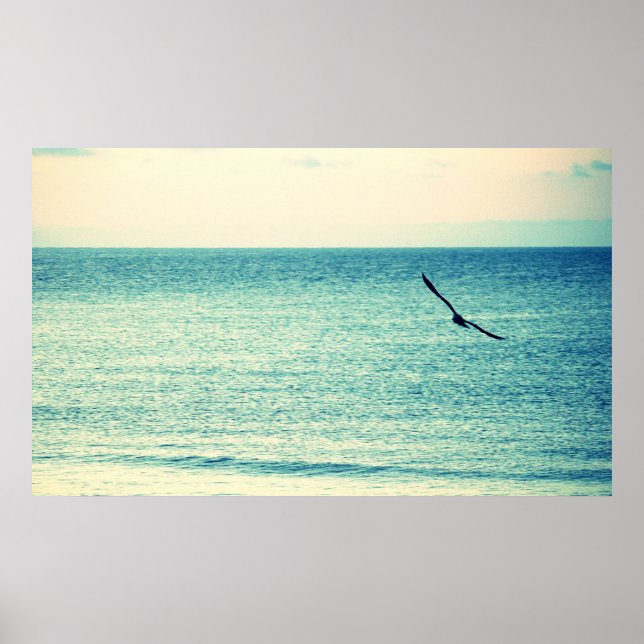 Seagull Poster (Vorne)
