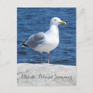Seagull-Postkarte Postkarte