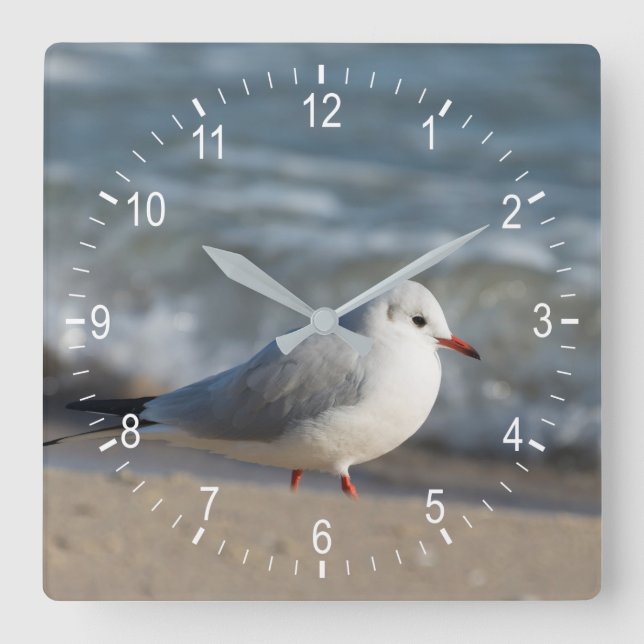 Seagull Quadratische Wanduhr (Vorderseite)