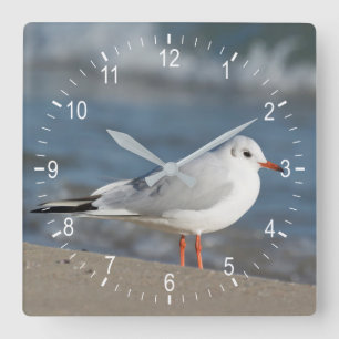Seagull Quadratische Wanduhr