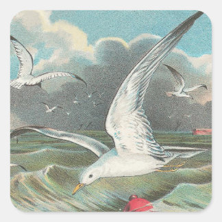 Seagull Quadratischer Aufkleber