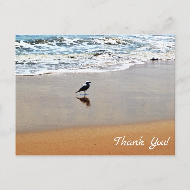 Seagull Reflection, Sand and Ocean Beach Vielen Da Postkarte (Vorderseite)
