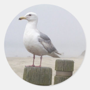 Seagull Runder Aufkleber