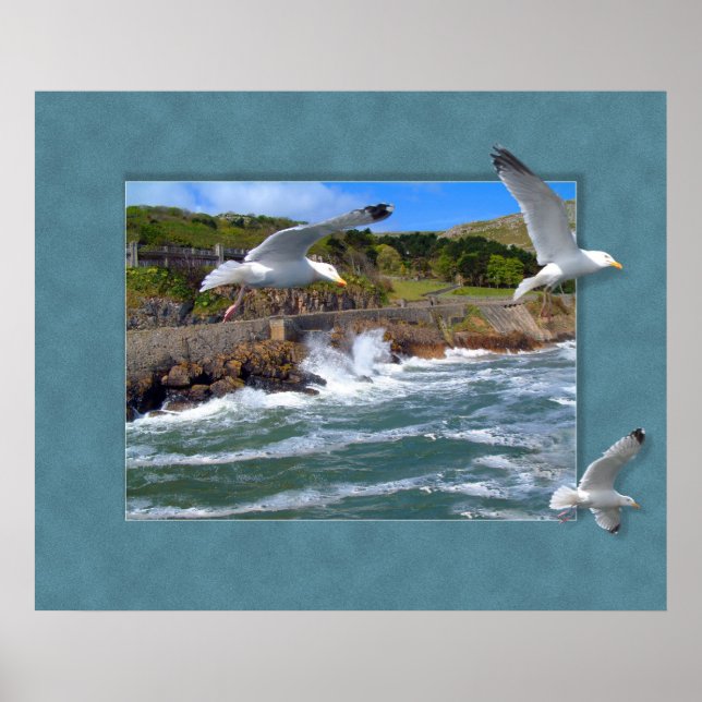 Seagull Scape Poster (Vorne)
