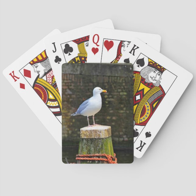 Seagull Spielkarten (Rückseite)