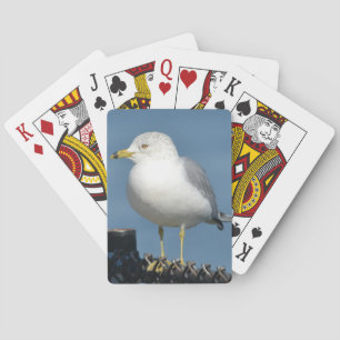 Seagull-Spielkarten Spielkarten