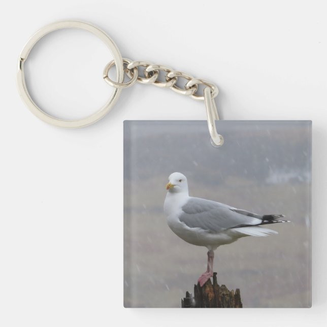 Seagull Stehend Schlüsselanhänger (Vorderseite)