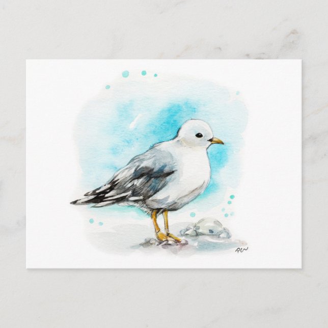 Seagull-Studie 1 Postkarte (Vorderseite)