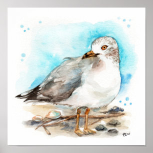 Seagull-Studie 2 Poster